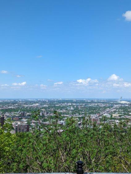 Orchid Lodgement Montréal Dış mekan fotoğraf