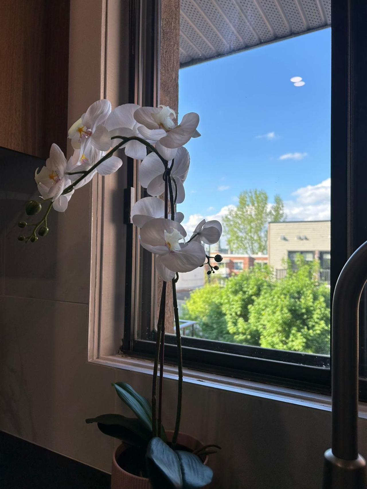 Orchid Lodgement Montréal Dış mekan fotoğraf