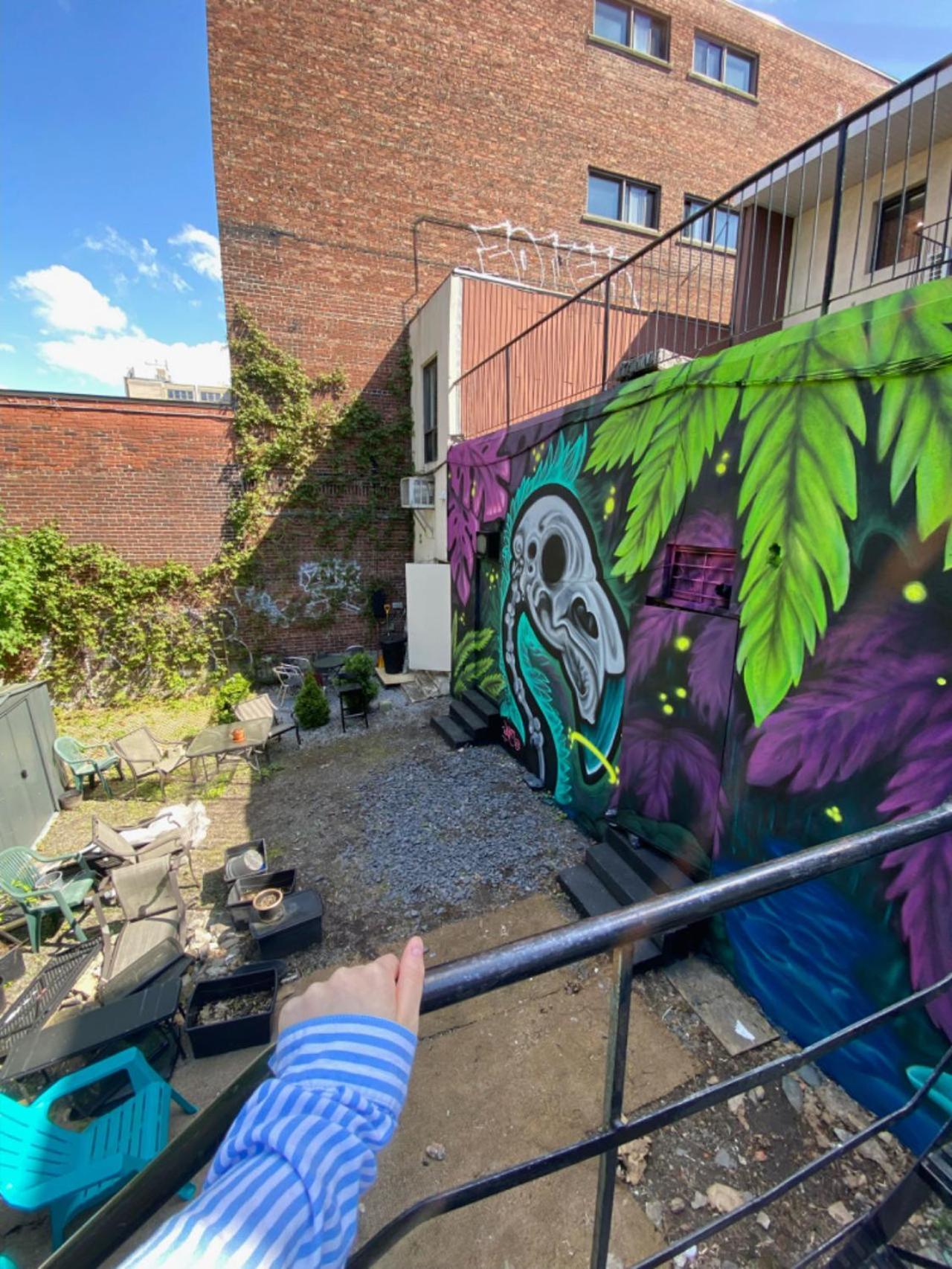 Orchid Lodgement Montréal Dış mekan fotoğraf
